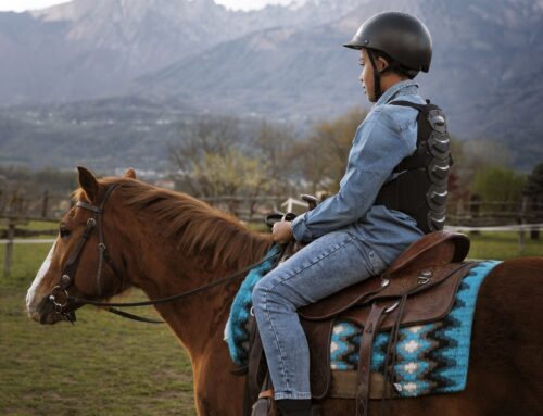 Sortida a cavall