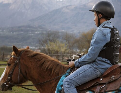 Salida a caballo